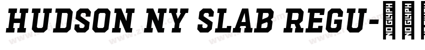 Hudson NY Slab Regu字体转换